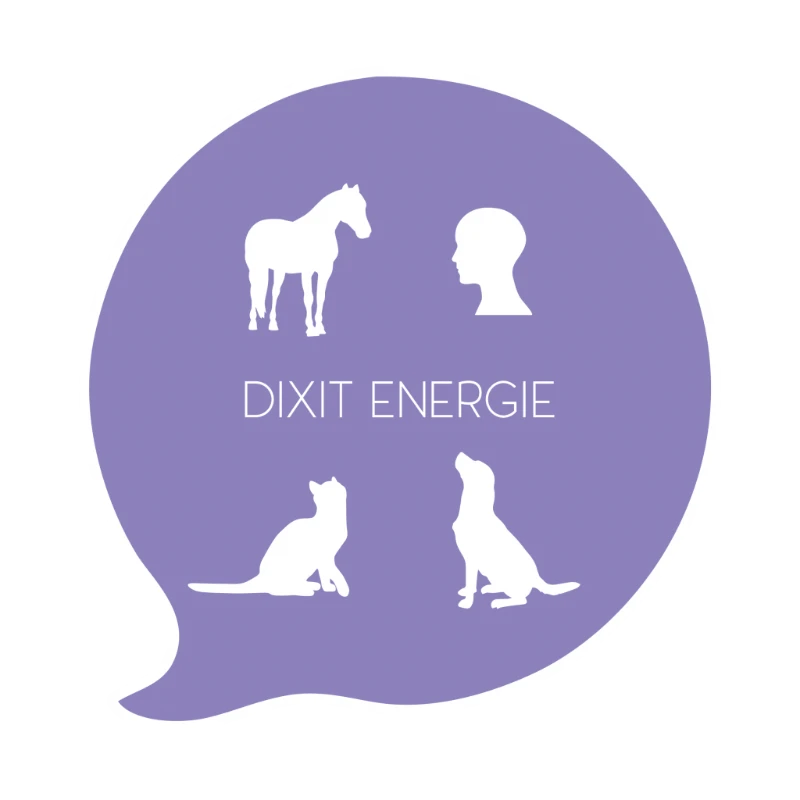 Logo Dixit Énergie